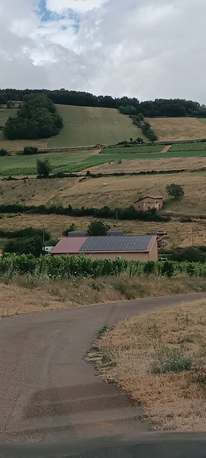 projet solaire viticole mont du Lyonnais 69 revente edf